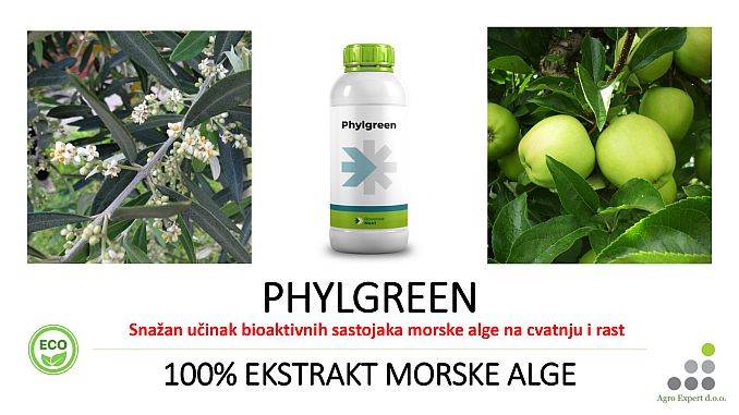 Phylgreen - biostimulator na bazi hladno prešane morske alge