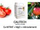 Folijarno gnojivo Calitech