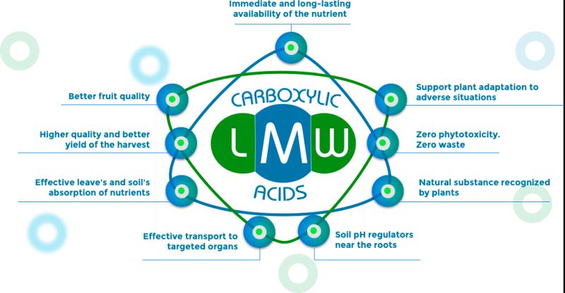Učinak niskomolekulanih karboksilnih kiselina na biljke