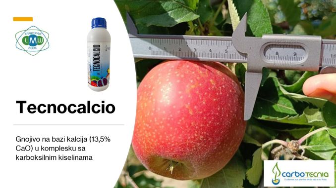 Tecnocalcio FI 2025 678px