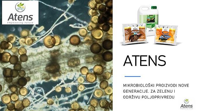 Atens - mikrobiološki preprati FI 678px
