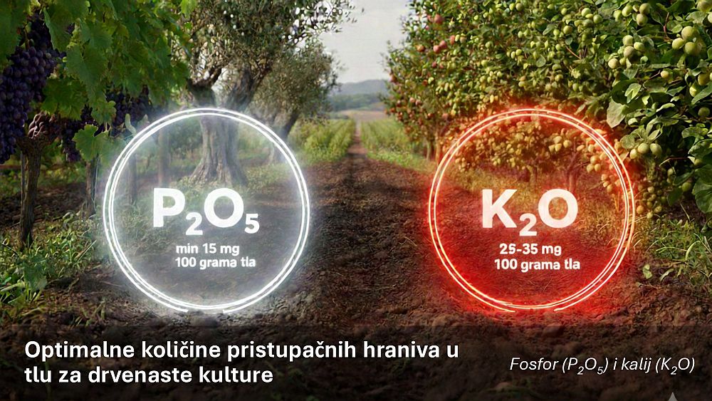 Optimalne količine fosfora i kalija u tlu za drvenaste kulture