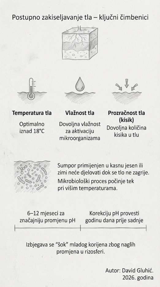 Postupak zakiseljavanja tla za borovnice primjenom sumpora